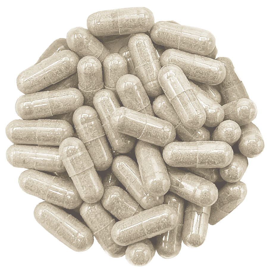 shroom-pills.png
